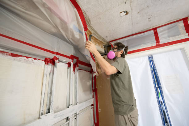 Best Commercial Mold Inspection  in Plover, WI